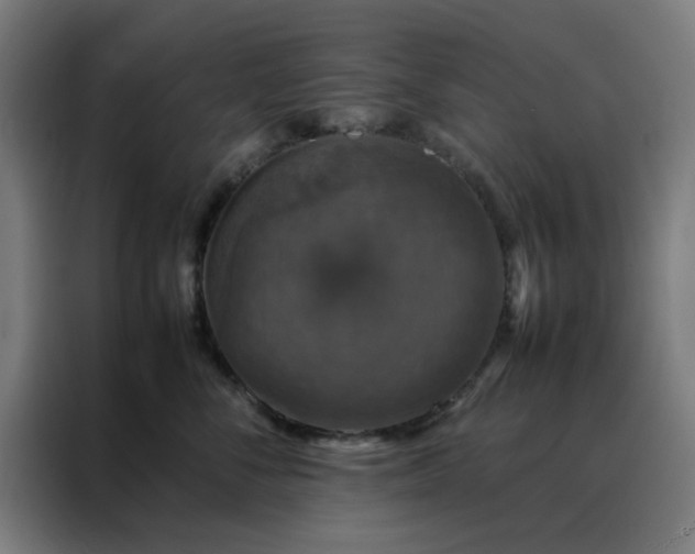 X0000088230716200705221824