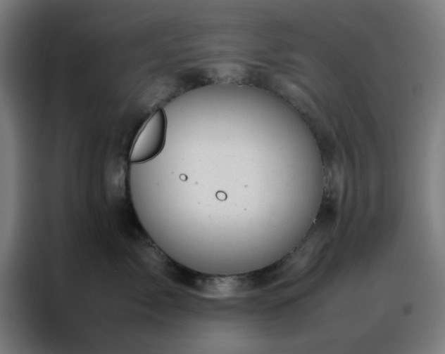 X0000088230717200705221824