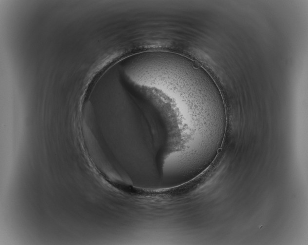 X0000088230721200705221824