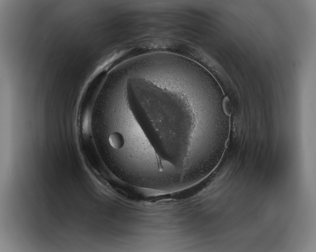 X0000088230722200705221824
