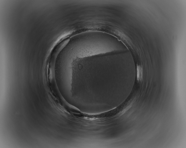 X0000088230723200705221824