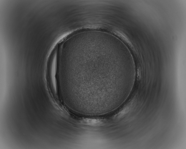 X0000088230724200705221824
