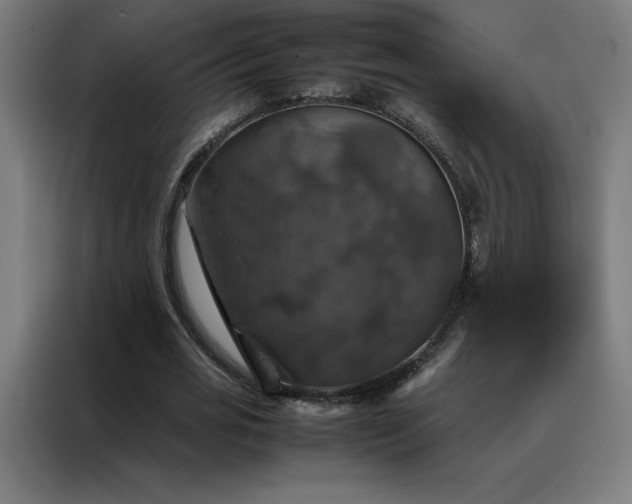 X0000088230725200705221824