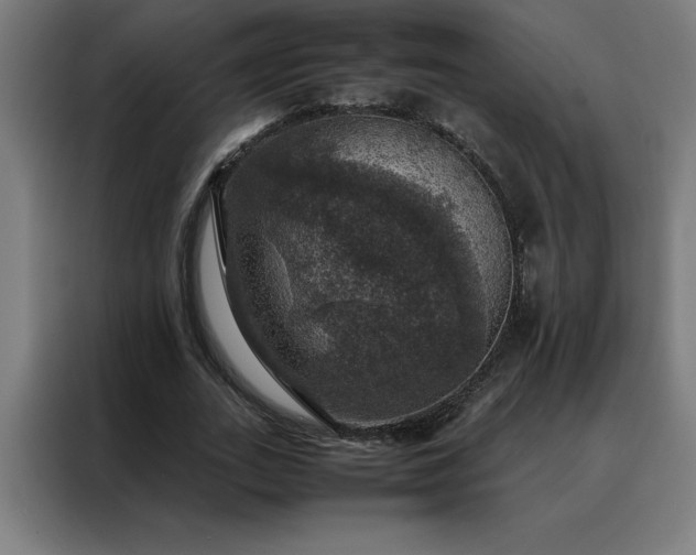 X0000088230727200705221824