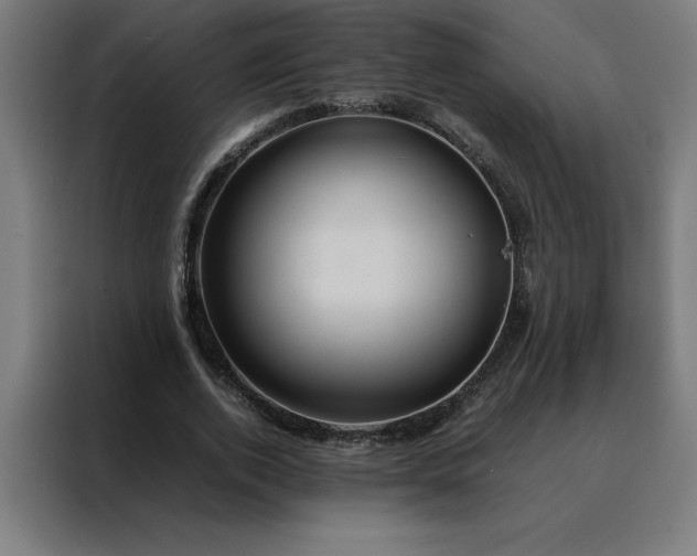 X0000088230728200705221824