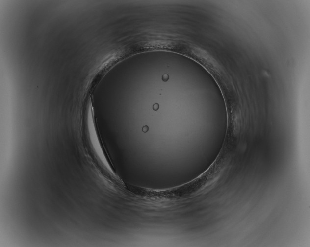 X0000088230729200705221824