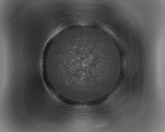 X0000088230730200705221824