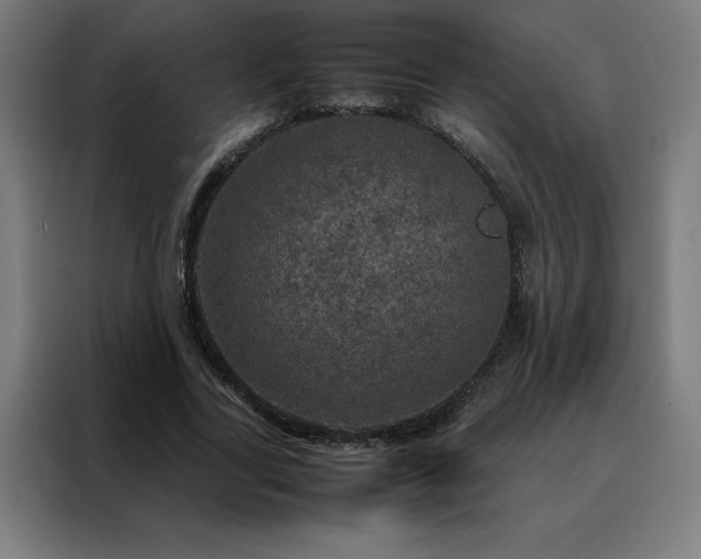 X0000088230731200705221824
