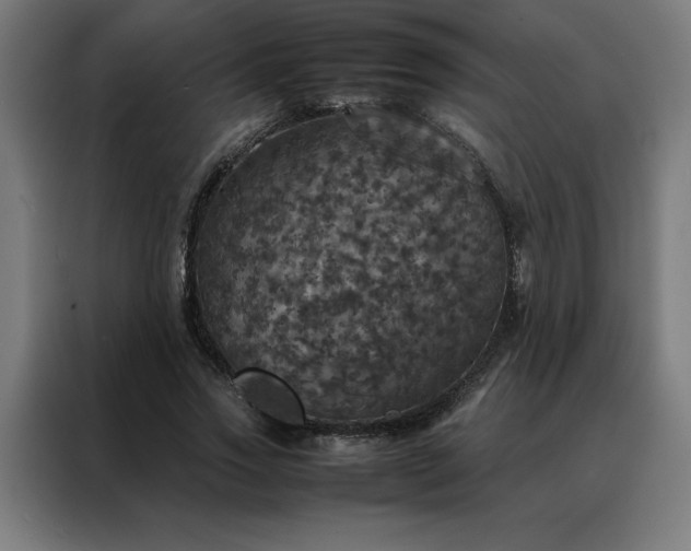 X0000088230733200705221824