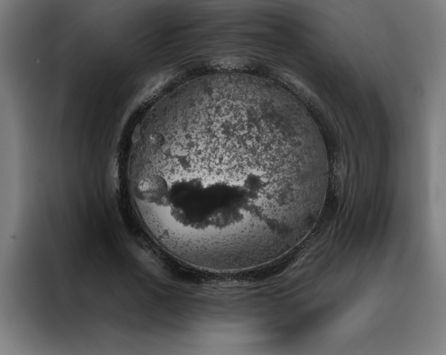 X0000088230734200705221824