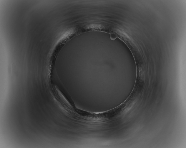 X0000088230735200705221824