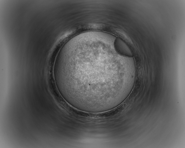 X0000088230736200705221824