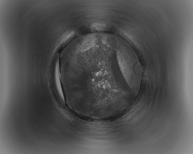 X0000088230738200705221824