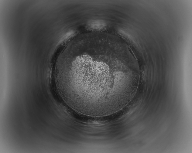 X0000088230739200705221824