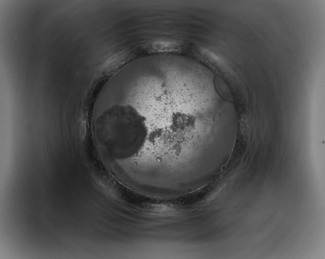 X0000088230741200705221824