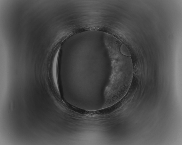 X0000088230742200705221824