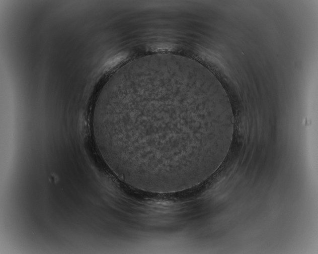 X0000088230743200705221824
