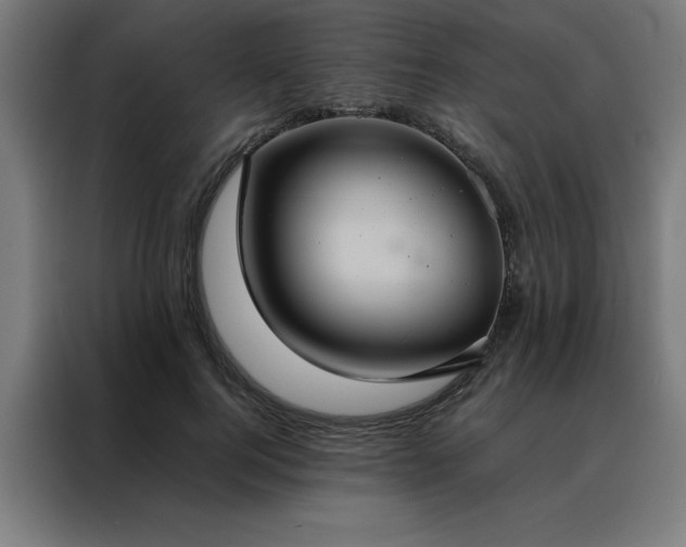X0000088230744200705221824