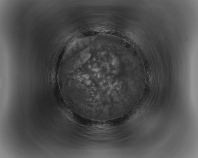 X0000088230745200705221824