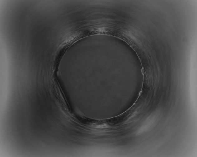 X0000088230747200705221824