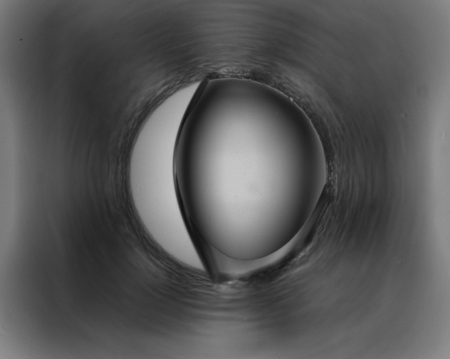 X0000088230748200705221824