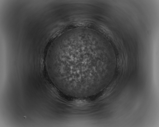 X0000088230749200705221824