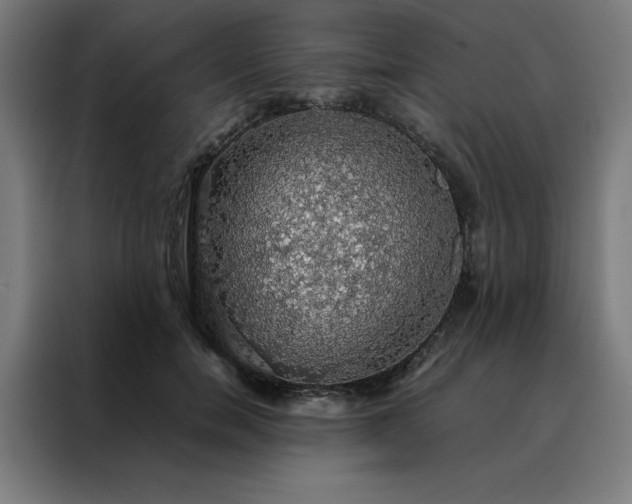 X0000088230750200705221824