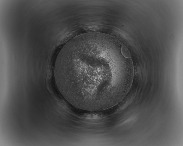 X0000088230751200705221824