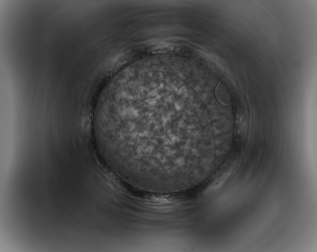 X0000088230753200705221824