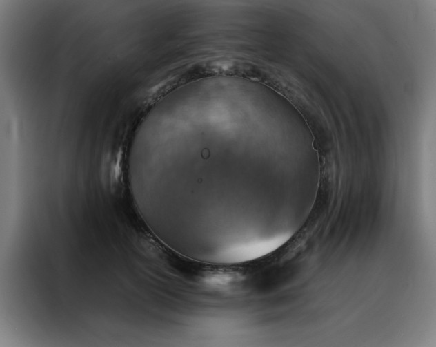 X0000088230754200705221824
