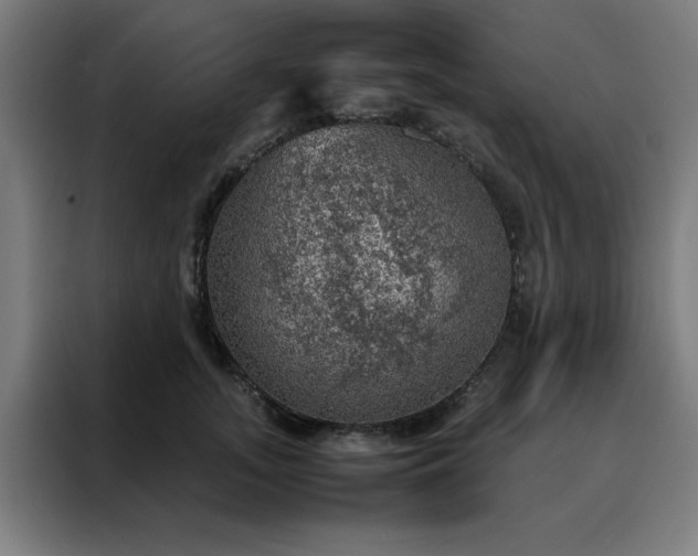 X0000088230755200705221824