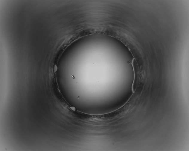 X0000088230756200705221824