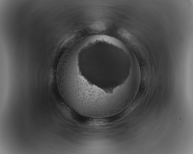 X0000088230758200705221824