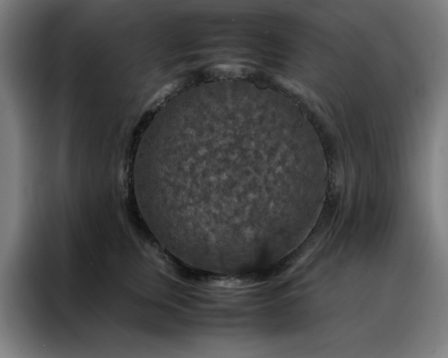 X0000088230759200705221824