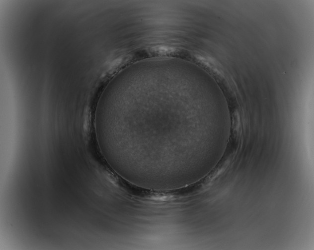 X0000088230760200705221824