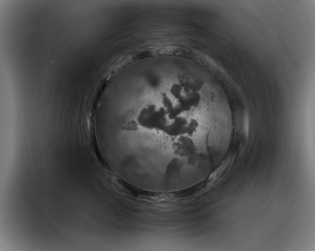 X0000088230761200705221824
