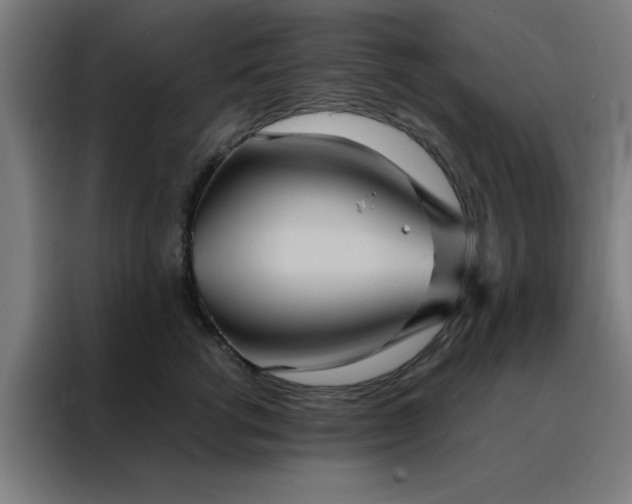 X0000088230762200705221824