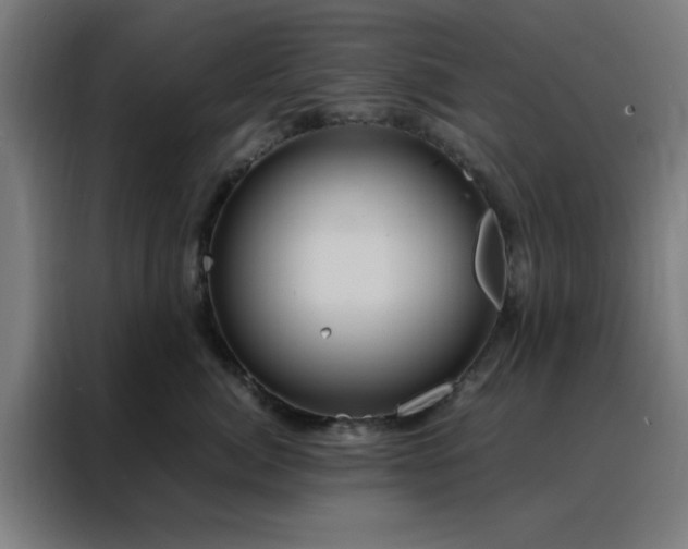 X0000088230764200705221824