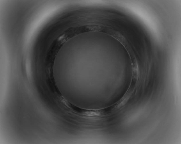 X0000088230765200705221824