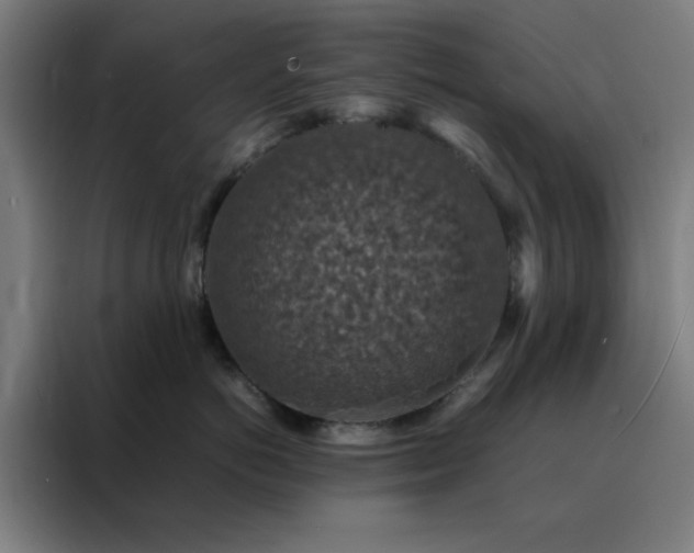 X0000088230766200705221824