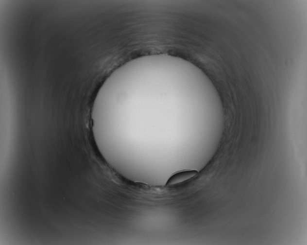 X0000088230768200705221824
