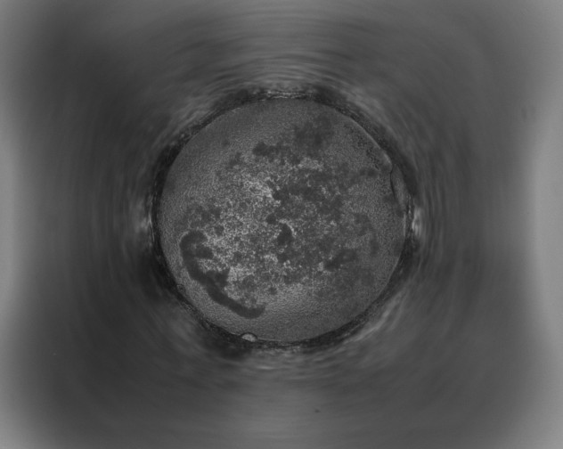 X0000088230771200705221824
