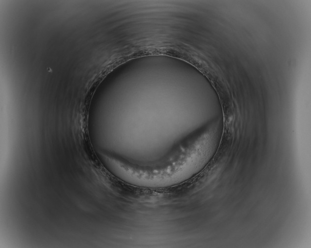 X0000088230772200705221824