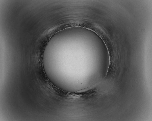 X0000088230773200705221823