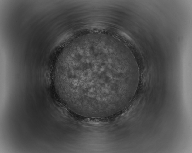 X0000088230774200705221823