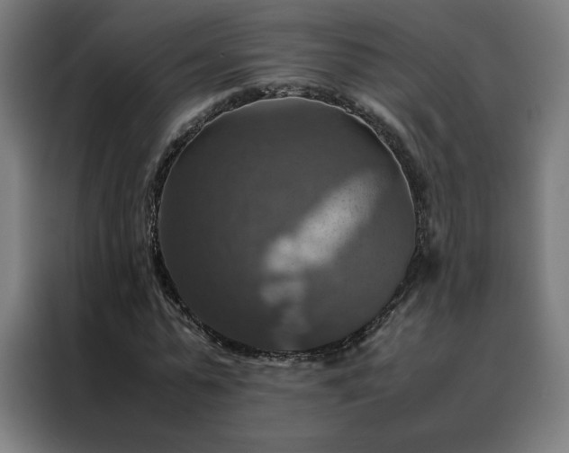 X0000088230775200705221823
