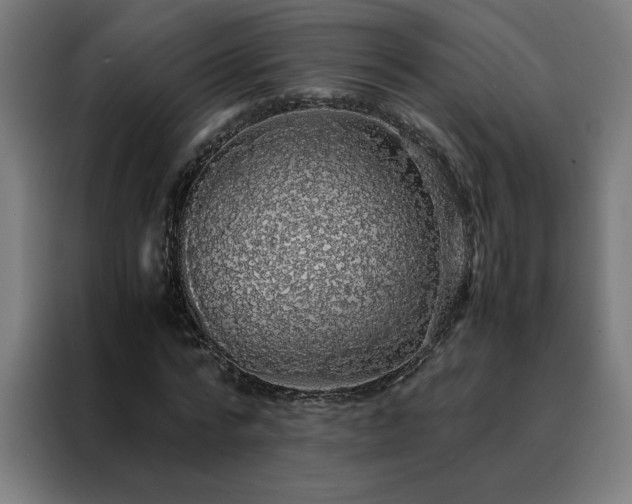 X0000088230776200705221823