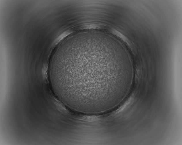 X0000088230778200705221823
