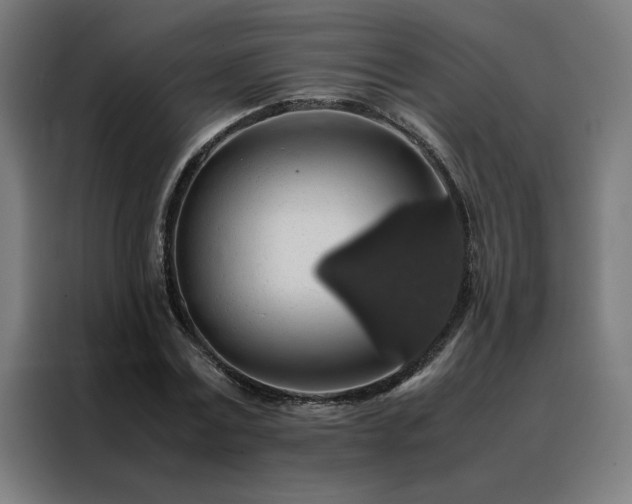 X0000088230779200705221823