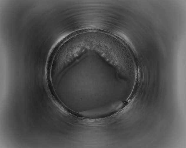 X0000088230780200705221823